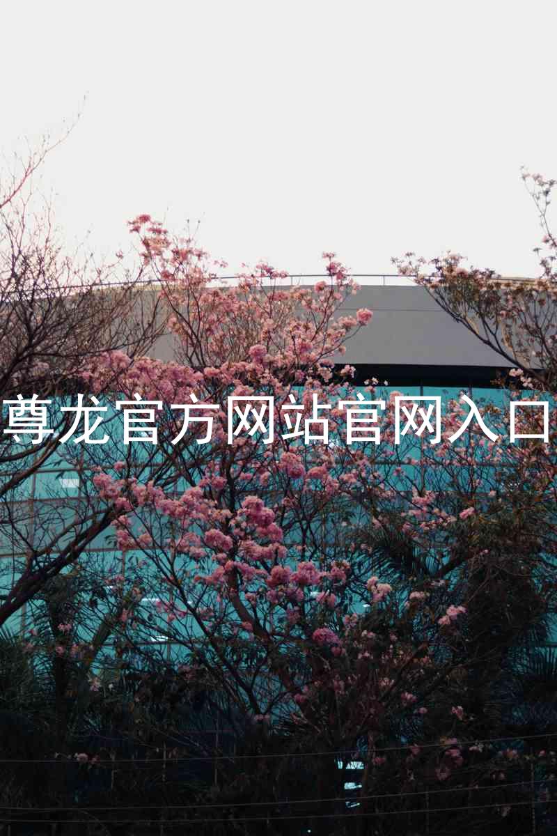 尊龙官方网站官网入口